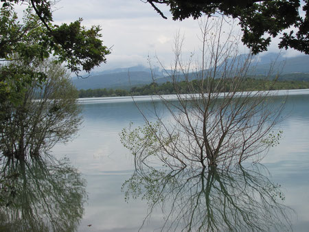 Le lac de Montbel en Ariège