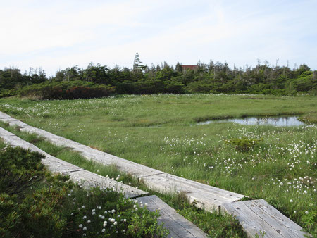 東大巓から下りてきて明月荘に向かう 湿原の向こうに屋根が見えた!