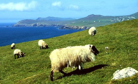 Foto: irland-tips.de