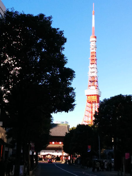 東京タワーと増上寺