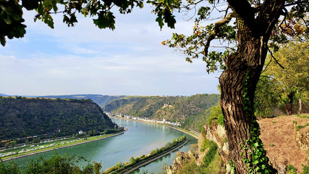 Aussicht vom Loreleyfelsen St. Goarshausen