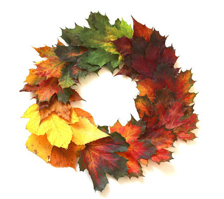 Image by Monfocus from Pixabay