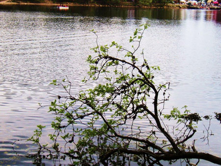 Angst vor Wasser