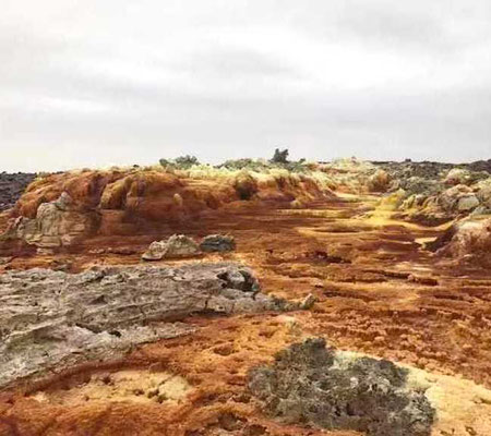 dictée cm2 désert danakil roches végétation