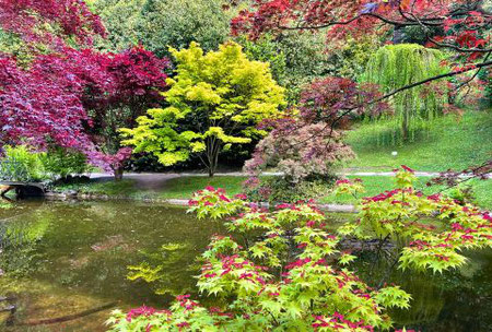 gardens with a large pond and maple trees. The leaves are turning.