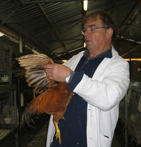 Der  Preisrichter Peter Ochs bei der Geflügel Bewertung