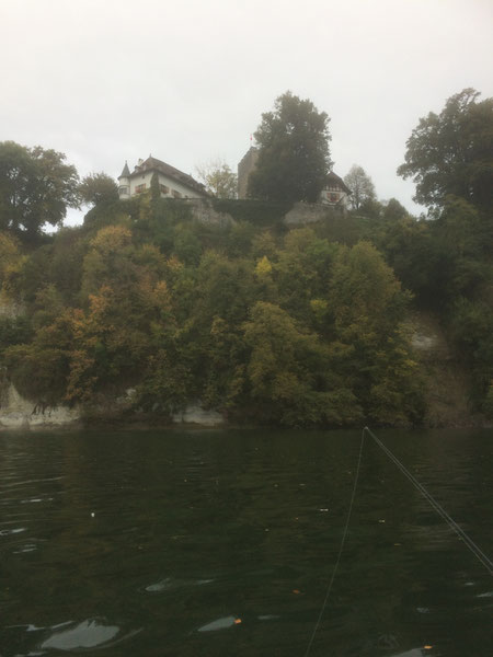 Hecht, Zander, Egli, Murtensee, Bielersee, Fischen im Seeland, Angeln, Fischerboot, Barsch, Zetti, Esox, Pike, Perch, Boot, Schleppen, Wobbler, Kunstköder, Zihlkanal, Zander, Felchen, Raubfisch, Wels, Angeln