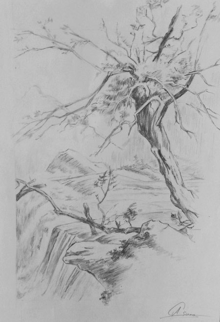 Paisajes Dibujo Artístico - Página web de ...