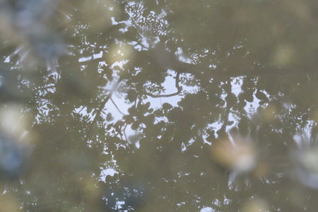 2a passeggiata - Pozza d'acqua di Umberto Barbera