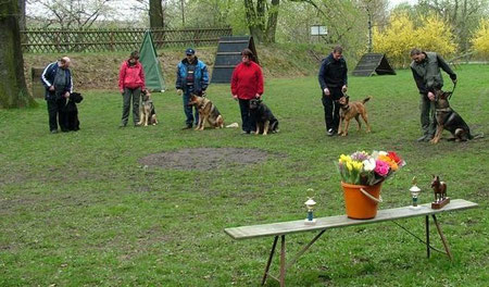 Alle Teilnehmer haben bestanden!