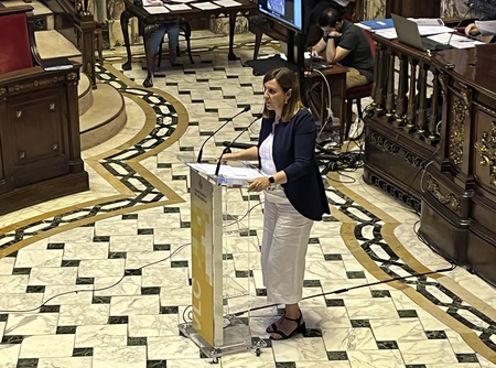 M. José Catalá en el Pleno del Ayuntamiento de Valencia