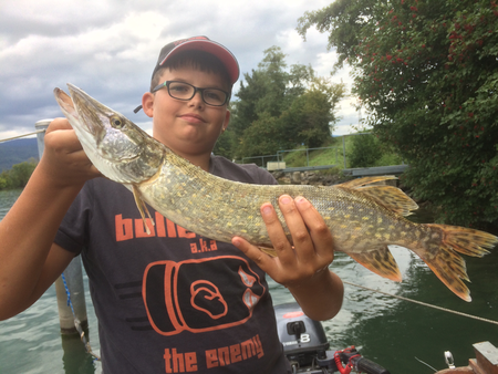 Hecht, Zander, Egli, Murtensee, Bielersee, Fischen im Seeland, Angeln, Fischerboot, Barsch, Zetti, Esox, Pike, Perch, Boot, Schleppen, Wobbler, Kunstköder, Zihlkanal, Zander, Felchen, Raubfisch, Wels, Angeln