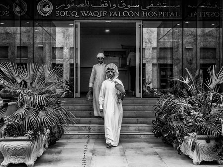 Falkenklinik Bahrain