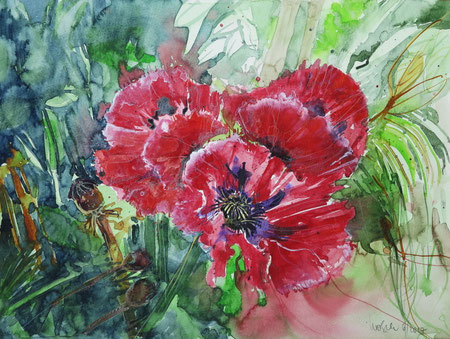Klatschmohn_Aquarell 36x48 cm_6-2017