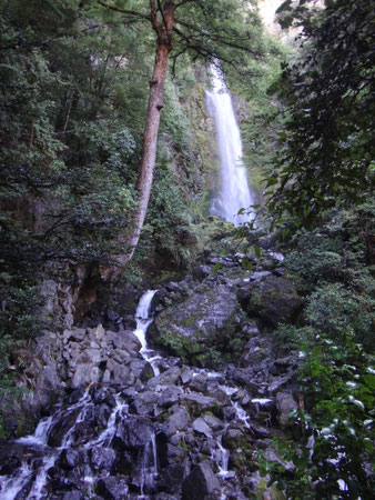 Die Whisky Falls am Lake Rotoiti