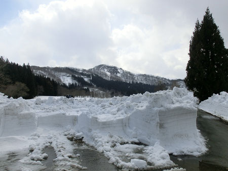 大森山手前のピーク、この影に隠れて大森山はここからは見えない