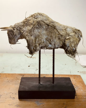 TORO
