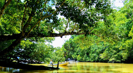 Underground River Tour, Palawan