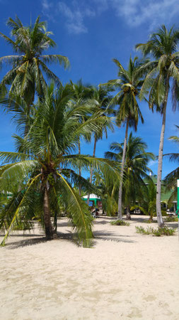 Honda Bay Island Hopping