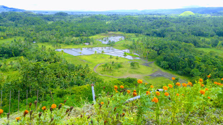 Chocolate Hills, Bohol