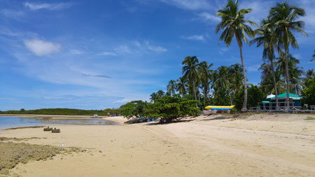 Honda Bay Island Hopping