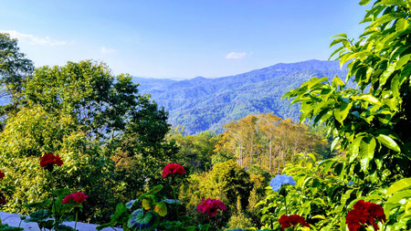 View from Doi Tung Royal Villa
