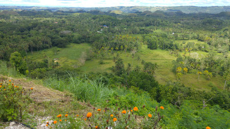 Chocolate Hills