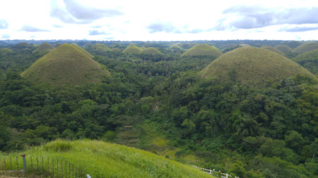 Chocolate Hills