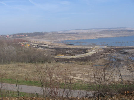  Marina ( Mücheln) westlicher Blick März 2006