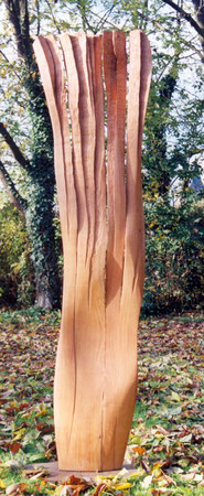 pear wood - poirier  2 m ©Isabelle Dethier..