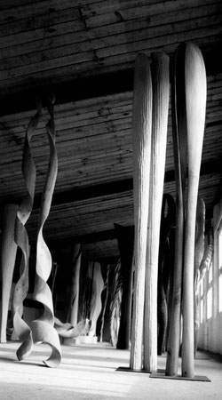  sycomore wood-érable 2m50cm ©Isabelle Dethier
