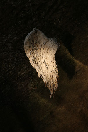 L'ALA DI ICARO
