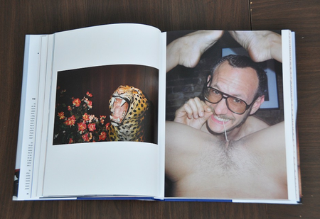 Terryworld (Taschen Verlag)