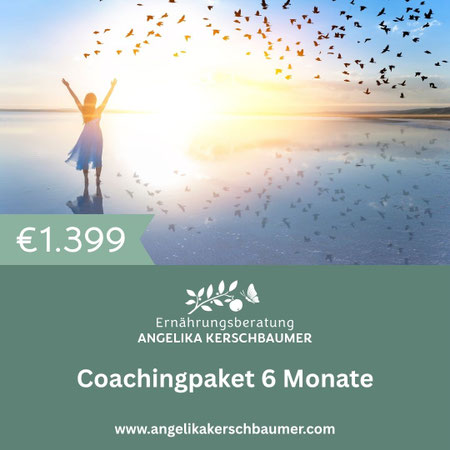 Coachingpaket 6 Monate