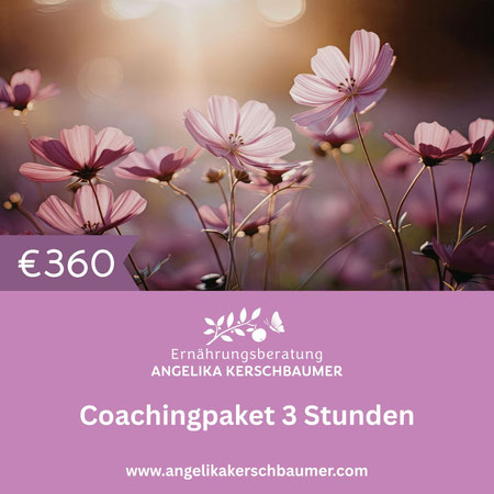 Coachingpaket 3 Stunden