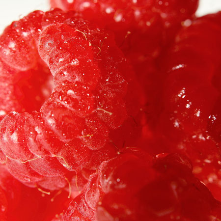 close-up Shooting im Studio
