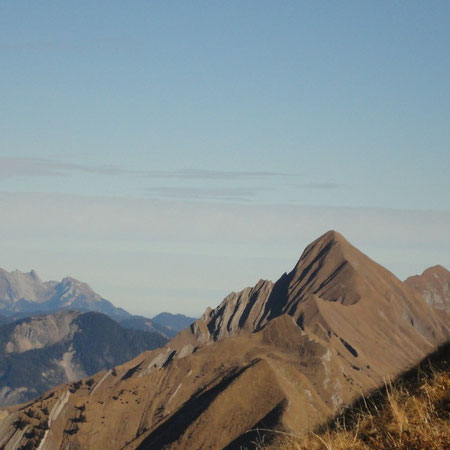 20. November 2011