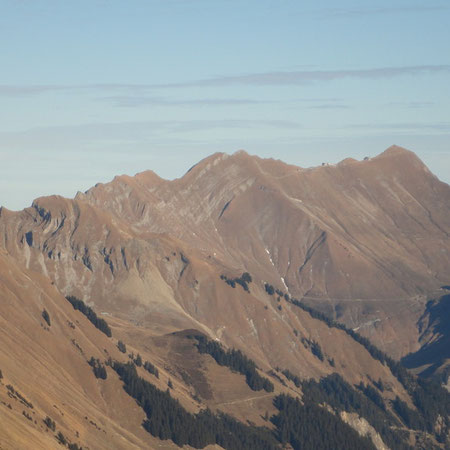 20. November 2011