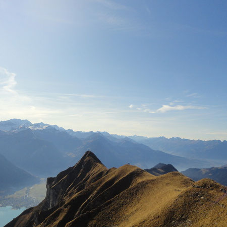 20. November 2011