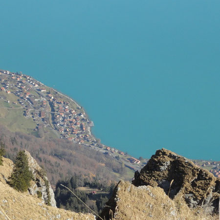 20. November 2011