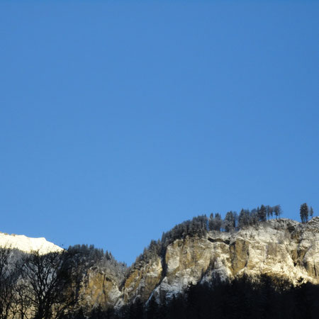 Planalpfluh