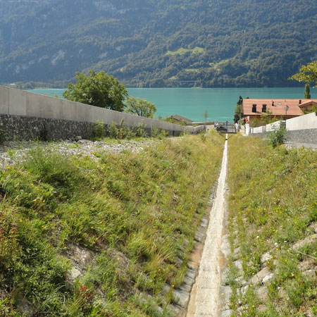 Trachtbach kurz vor der Einmündung in den See