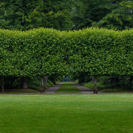 Schlosspark Benrath