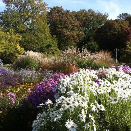 Der Grugapark in Essen