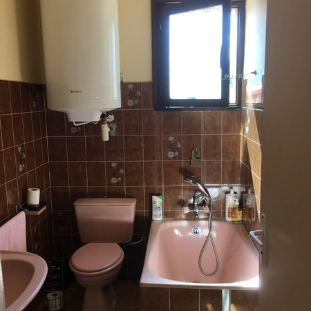 Avant : Salle de Bain de 3 m² avec Faïence Marron et Éléments Dépassés