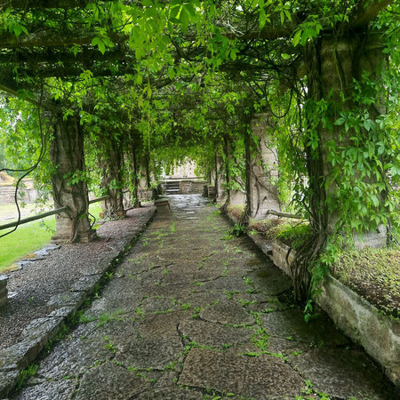 Im Klostergarten