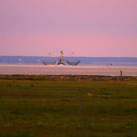 Krabbenkutter " De Liekedeelers " vor Hallig Hooge