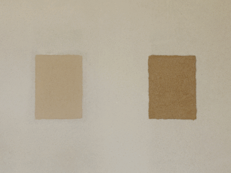 Vergleich von Lehmfarbe beim Trocknen: links eine getrocknete Testfläche, rechts eine frisch aufgetragene, dunklere Testfläche an heller Wand.