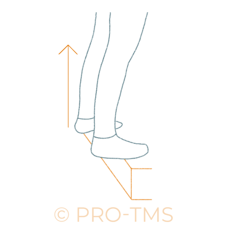 renforcement musculaire des mollets
