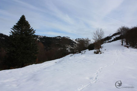 Randonnée en raquettes Ariège Pyrénées Observation faune et flore des Pyrénées
